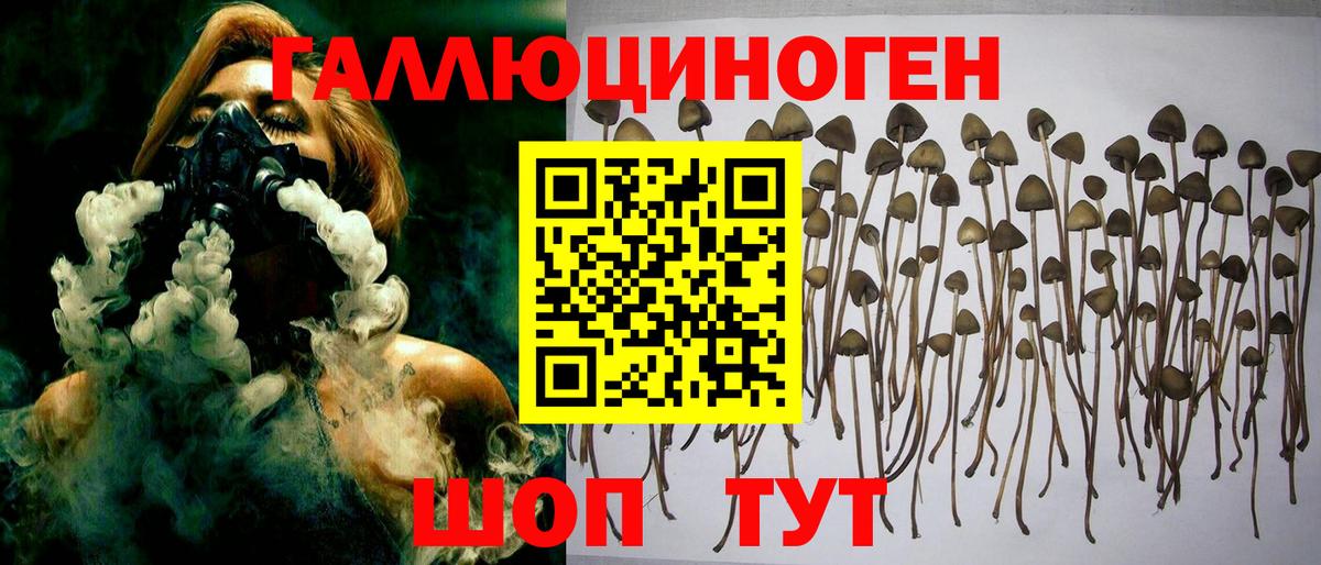 Галлюциногенные грибы Psilocybe  Псилоцибиновые грибы Cubensis  Соликамск  Вход с VPN 