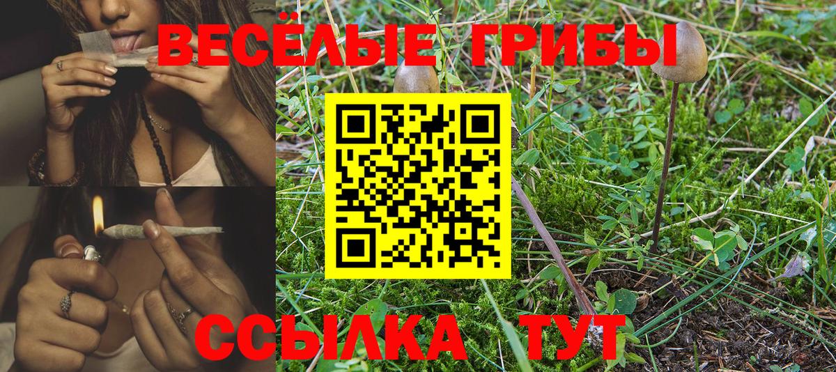 Псилоцибиновые грибы Cubensis Соликамск